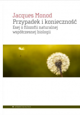 Zrzut ekranu 2026-10-09 113853